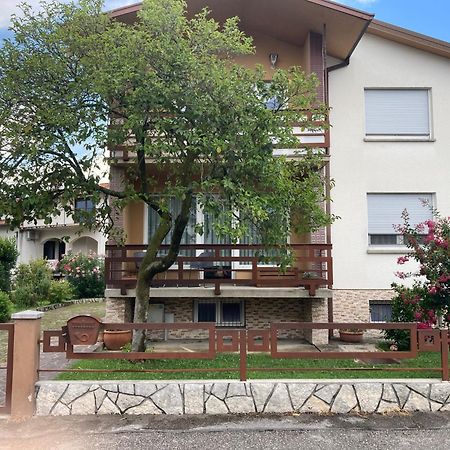 7 Flower Street Apartment Sempeter pri Gorici Bagian luar foto