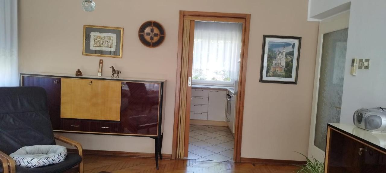 7 Flower Street Apartment Sempeter pri Gorici Bagian luar foto