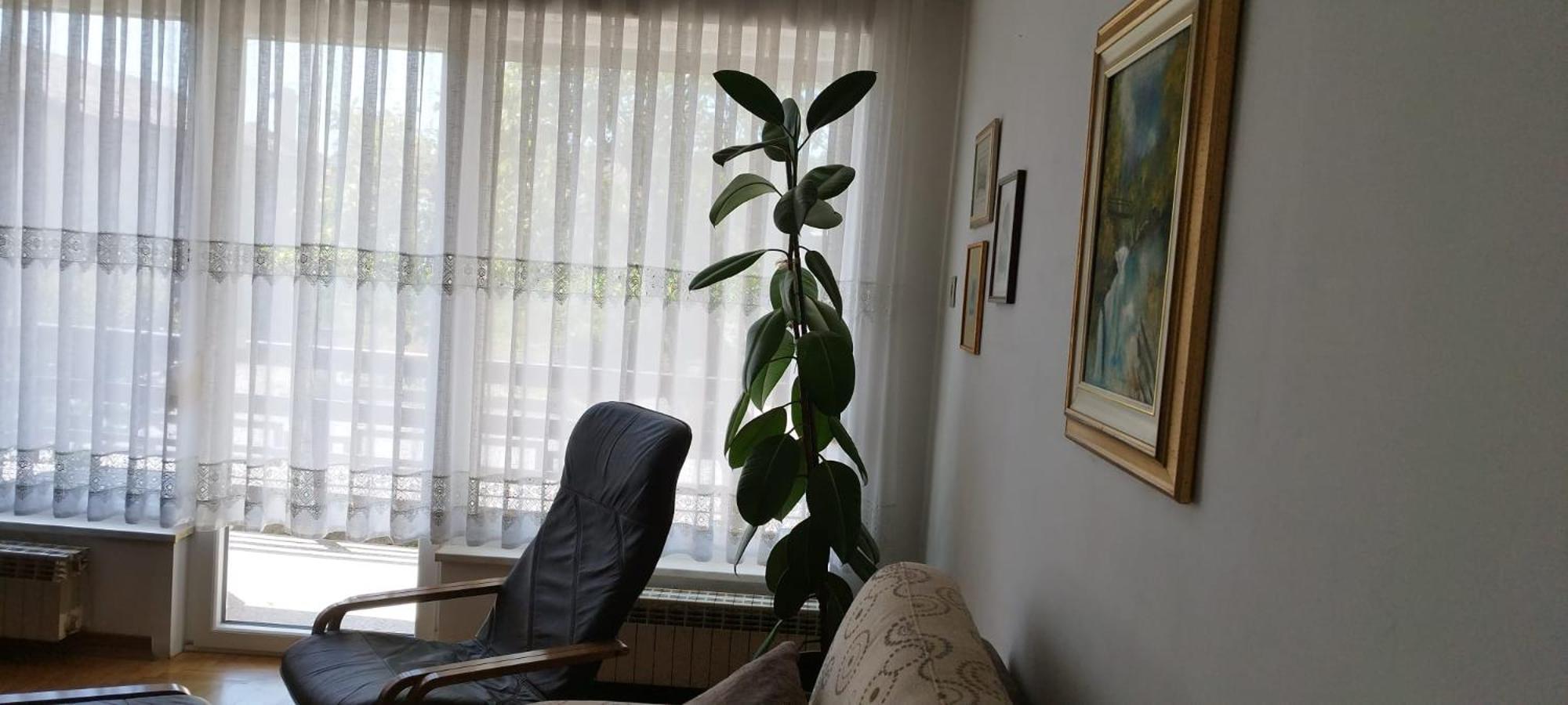 7 Flower Street Apartment Sempeter pri Gorici Bagian luar foto