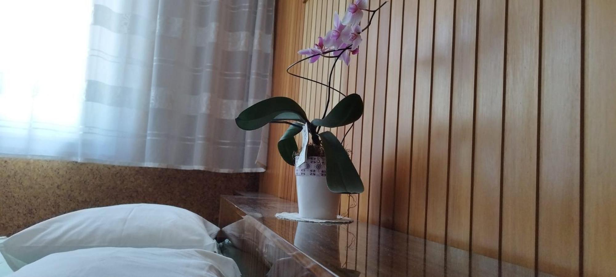 7 Flower Street Apartment Sempeter pri Gorici Bagian luar foto